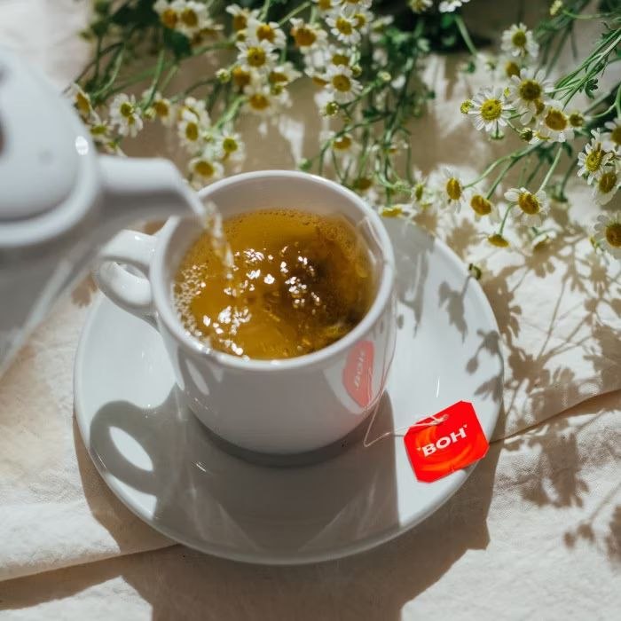 BOH Camomile Teabag - Botanical Beverage 25 bags x 1.4g Malaysia