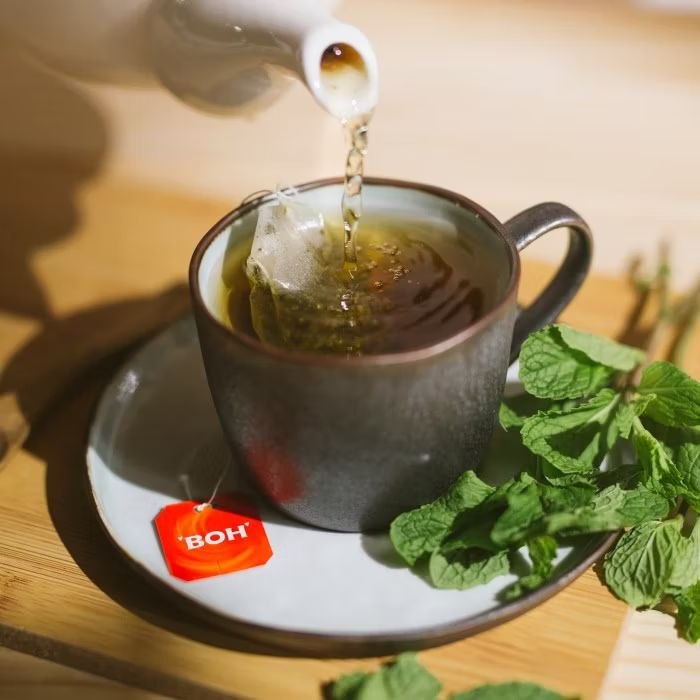 BOH Peppermint Teabag - Botanical Beverage 25 bags x 2g Malaysia