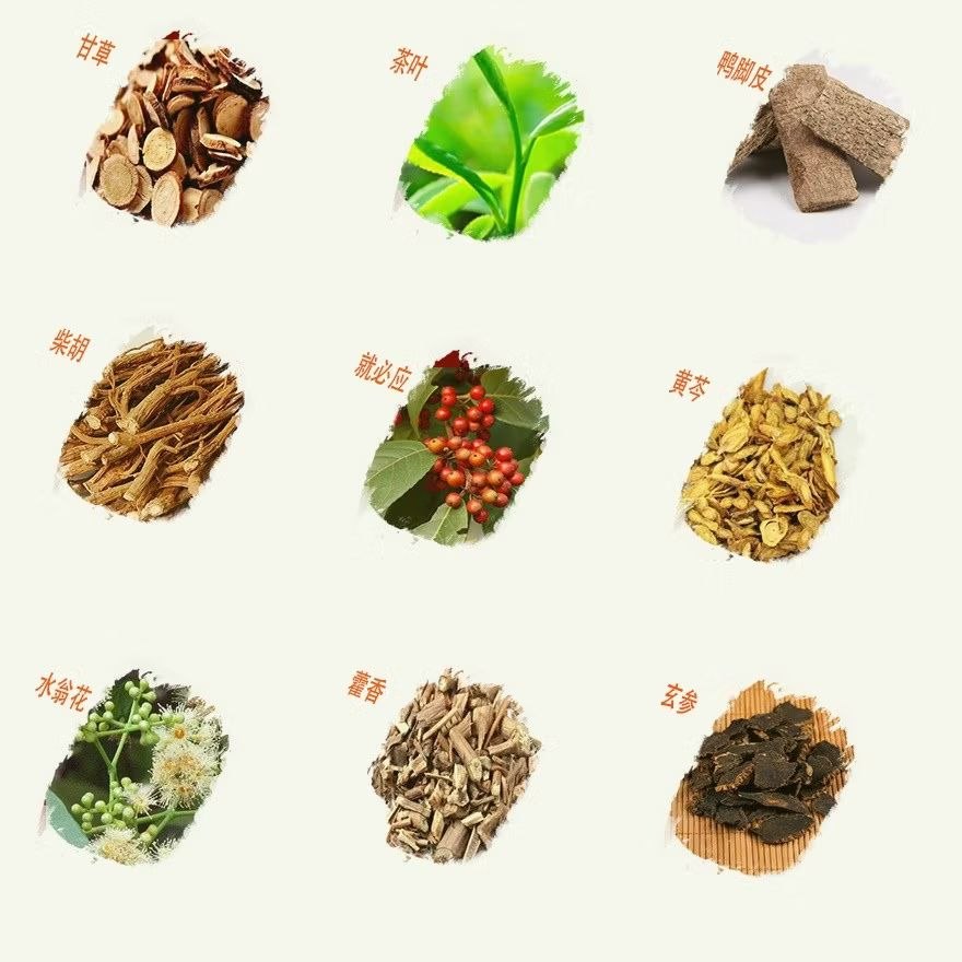 Tan Ngan Lo Traditional Medicated Herbal Tea 6g x 10 sachets Malaysia